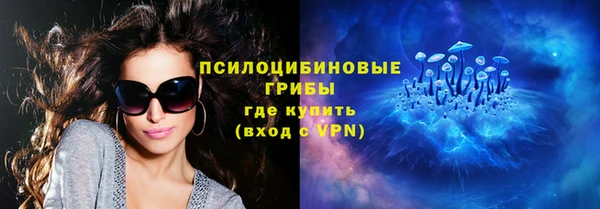 гидра Алзамай