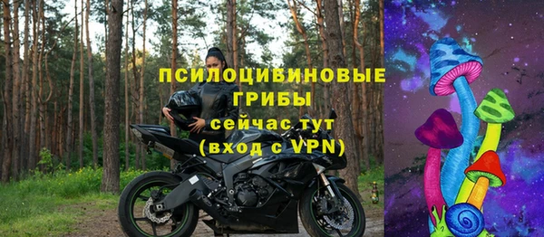 гидра Алзамай